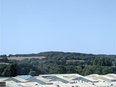 Picture 24